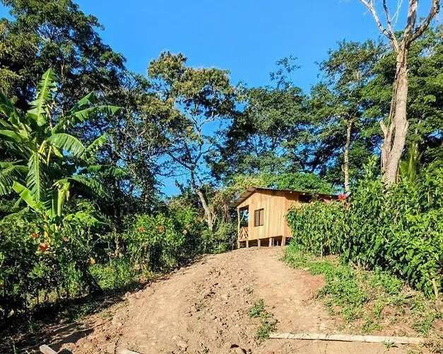 Apartamento Summer-full Equipada *